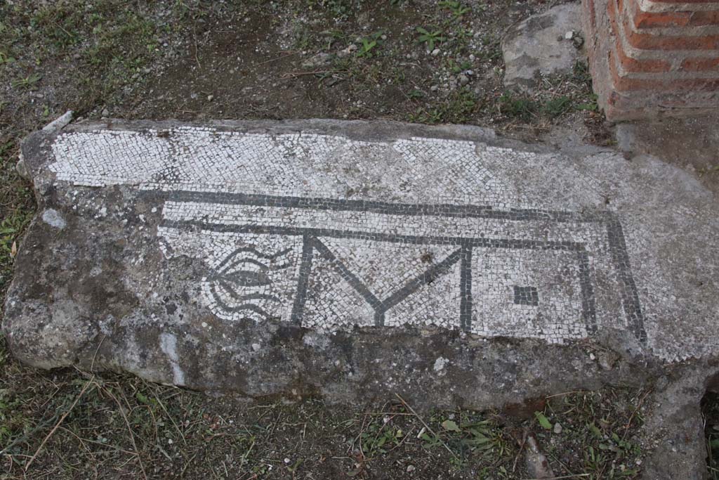 Stabiae, Villa Arianna, June 2019. Room on north side of tablinum, 18, remains of mosaic floor. Photo courtesy of Buzz Ferebee.