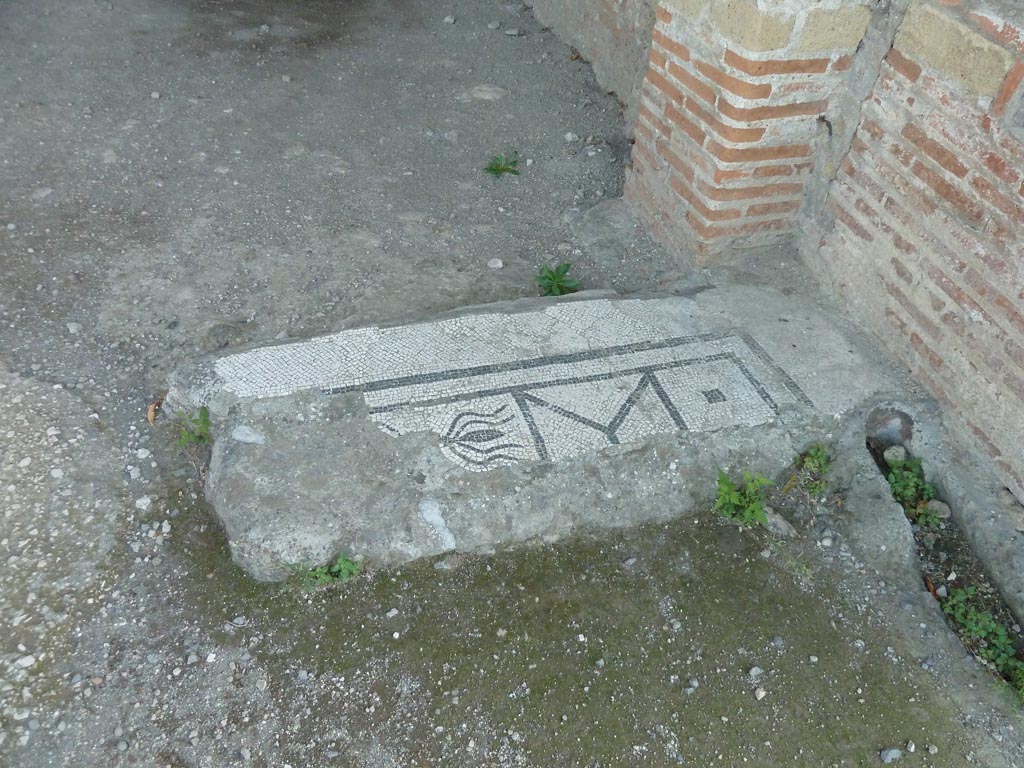 Stabiae, Villa Arianna, September 2015. Room 42, looking south-east from tablinum, room 18.