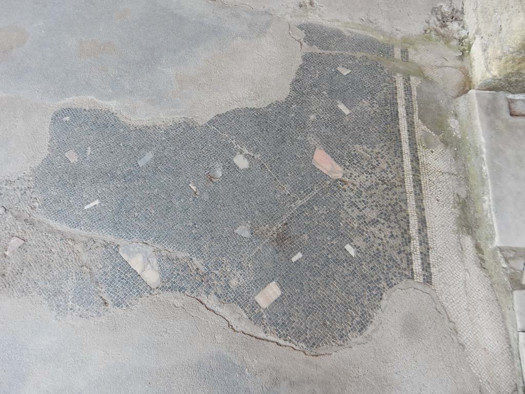 Stabiae, Villa Arianna, June 2019. Room 34, mosaic flooring near threshold into room 40, on right.
Photo courtesy of Buzz Ferebee.

