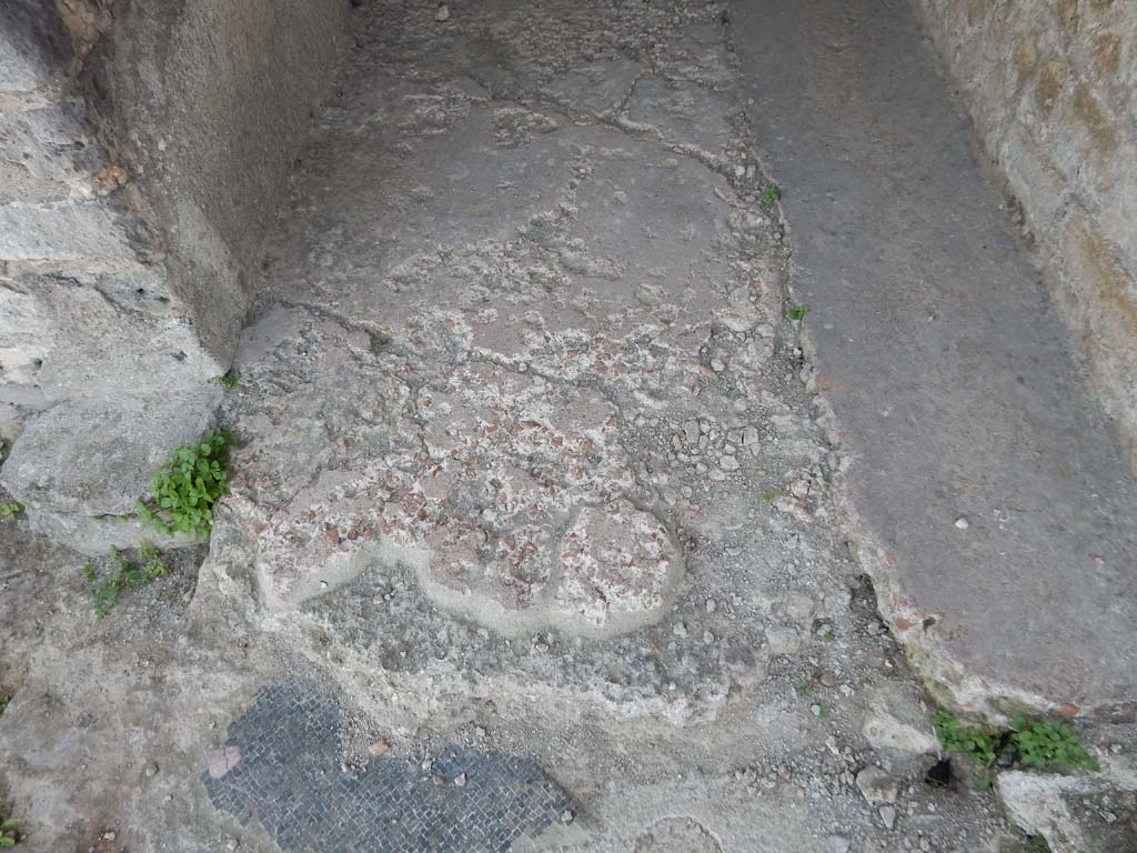 Stabiae, Villa Arianna, June 2019. Room 33, flooring in corridor. Photo courtesy of Buzz Ferebee.