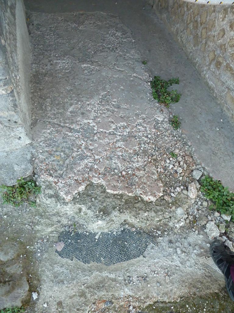 Stabiae, Villa Arianna, September 2015. Room 33, floor in corridor.