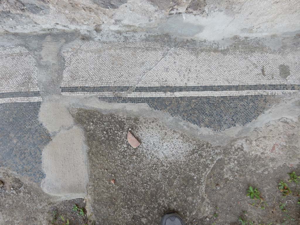 Stabiae, Villa Arianna, June 2019. Room 35, remains of mosaic flooring. Photo courtesy of Buzz Ferebee.