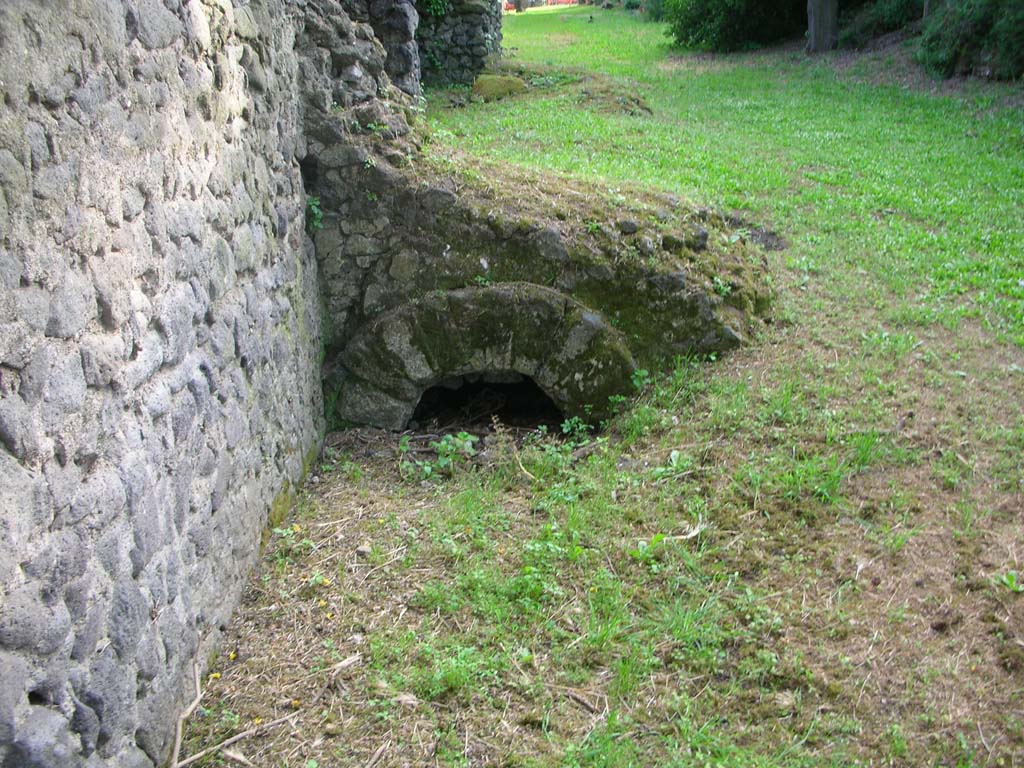 Tower XII, Pompeii. May 2010. Looking west towards wall at base of Tower on north side. Photo courtesy of Ivo van der Graaff.