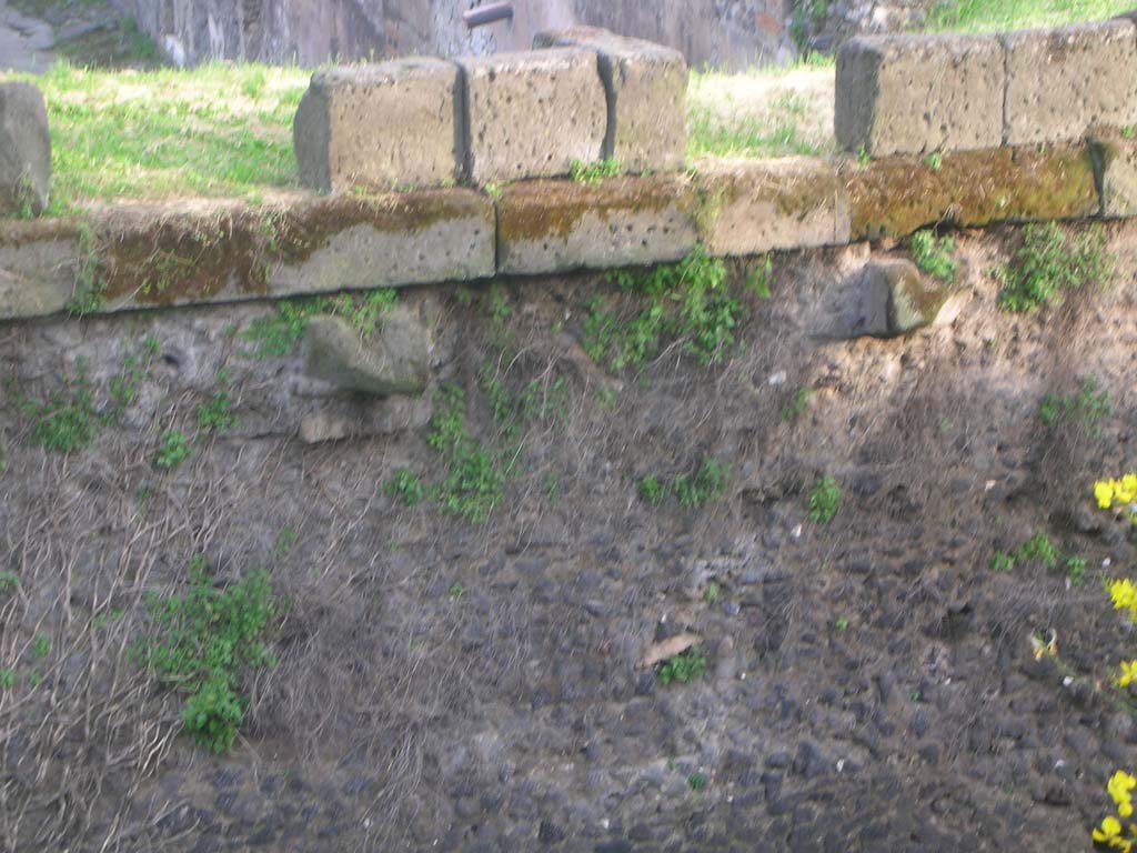 Walls on north side of Pompeii. May 2010. Detail. Looking south. Photo courtesy of Ivo van der Graaff.

