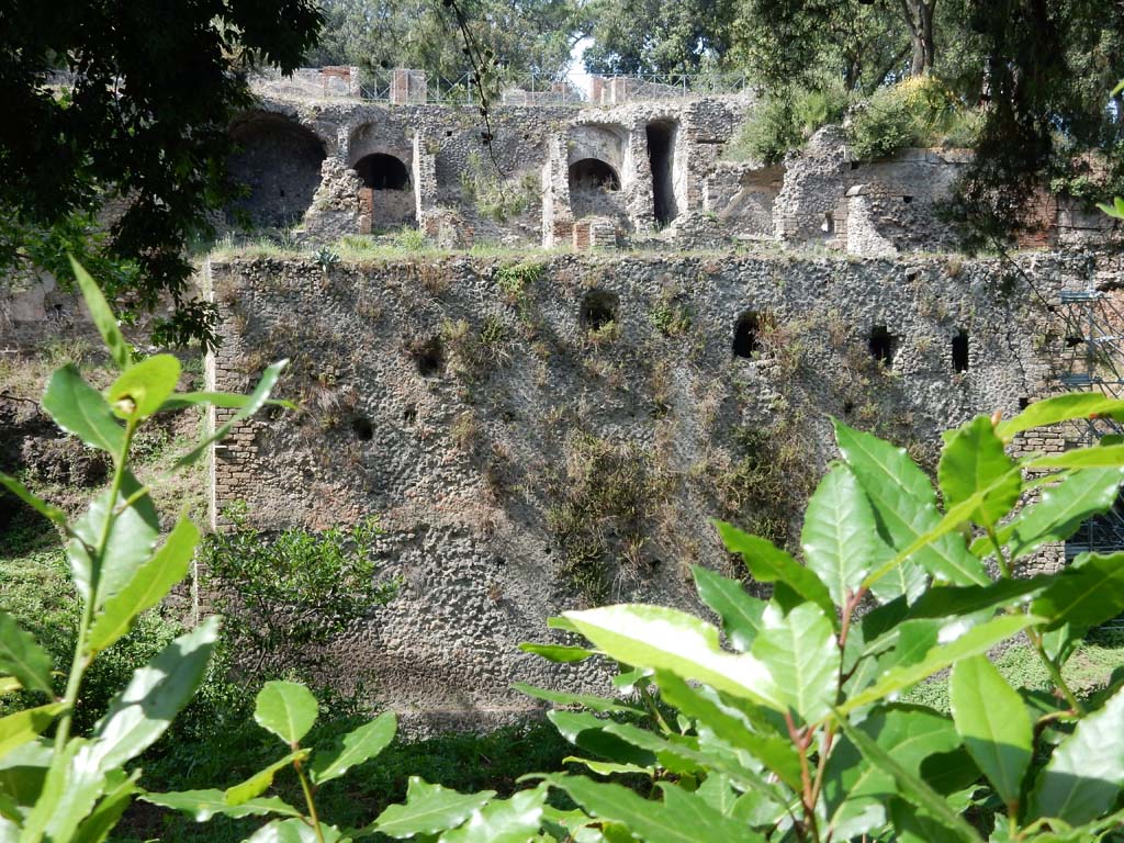 VIII.2.39 Pompeii. June 2019. Looking north at rear towards lower, middle and upper remaining floors. Photo courtesy of Buzz Ferebee.