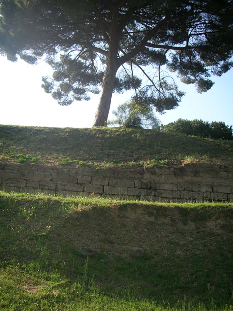 City Walls near Tower III. May 2010. Looking north to City Wall. Photo courtesy of Ivo van der Graaff.