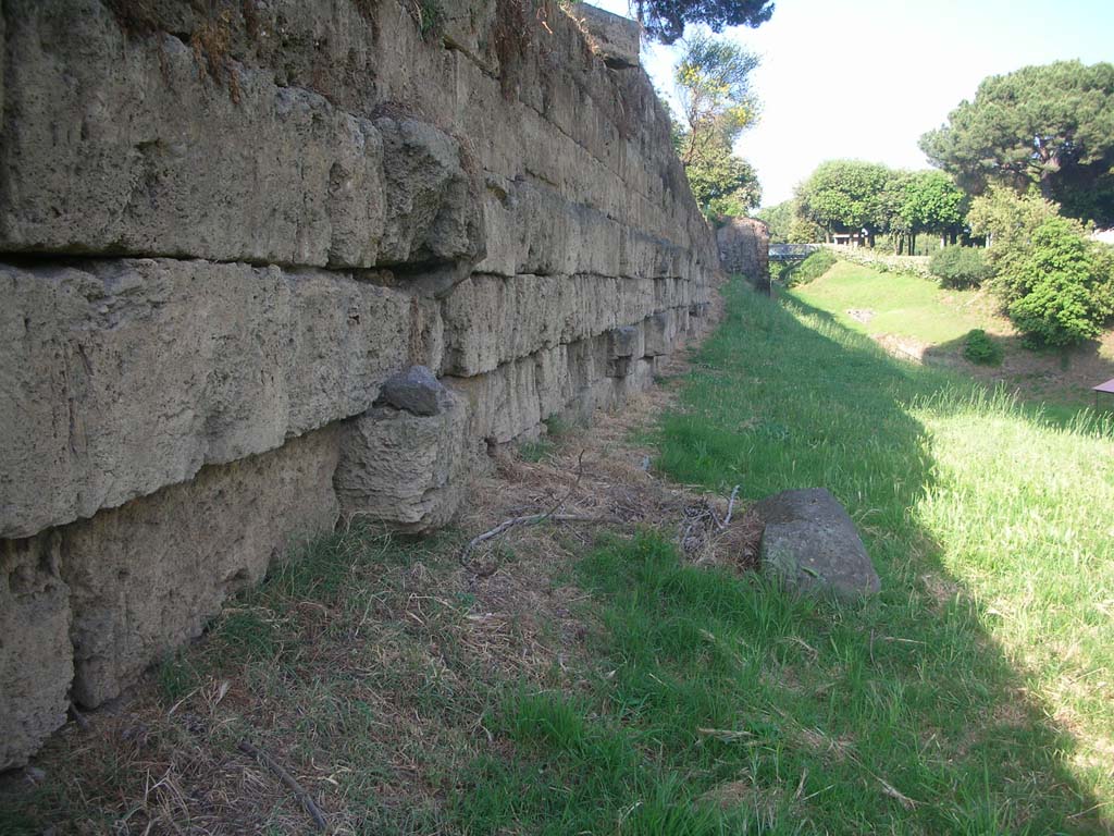 City Walls near Tower III. May 2011. Looking east along Walls. Photo courtesy of Ivo van der Graaff.