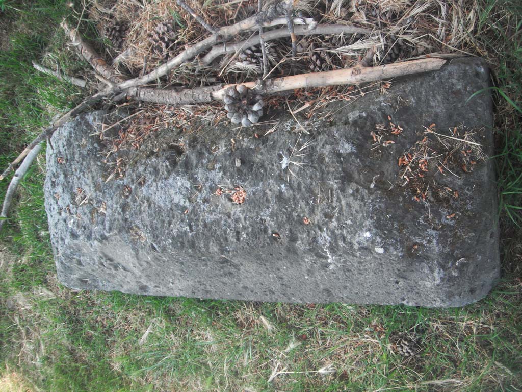 City Walls near Tower III. May 2011. 
Detail of Merlon capping stone. Photo courtesy of Ivo van der Graaff.
