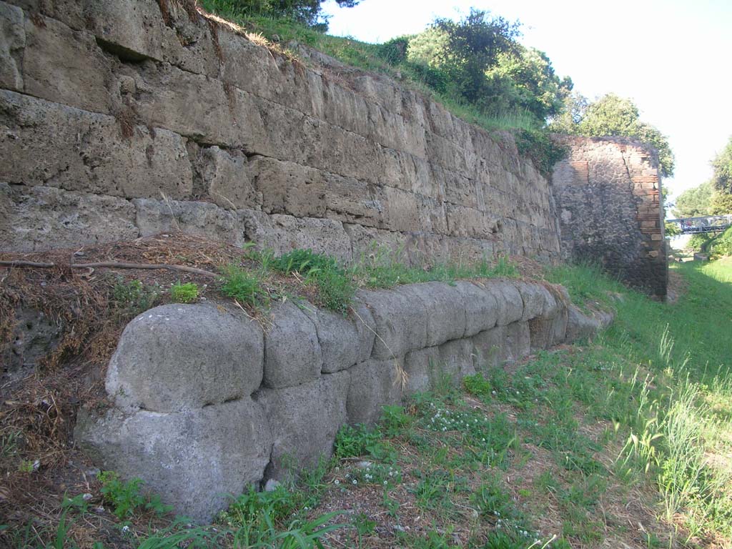 City Walls on south side, near Tower III. May 2011. Looking east along Walls towards Tower III. Photo courtesy of Ivo van der Graaff.

