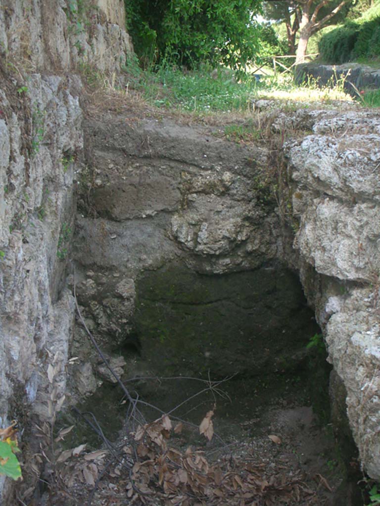 Walls on east side of Tower III, Pompeii. May 2010. 
Looking east, detail. Photo courtesy of Ivo van der Graaff.
