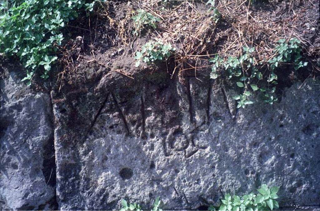 Walls on north side of Sarno Gate, Pompeii, near Tower VII. July 2011.
Inscription to Auli Fisti. Photo courtesy of Rick Bauer.
According to Epigraphik-Datenbank Clauss/Slaby (See www.manfredclauss.de) this reads

A(uli) Fisti v(ivit?)
locu(s)       [CIL IV, 2501 (p 466) = CIL X, 8351 = AE 2004, +00398]


