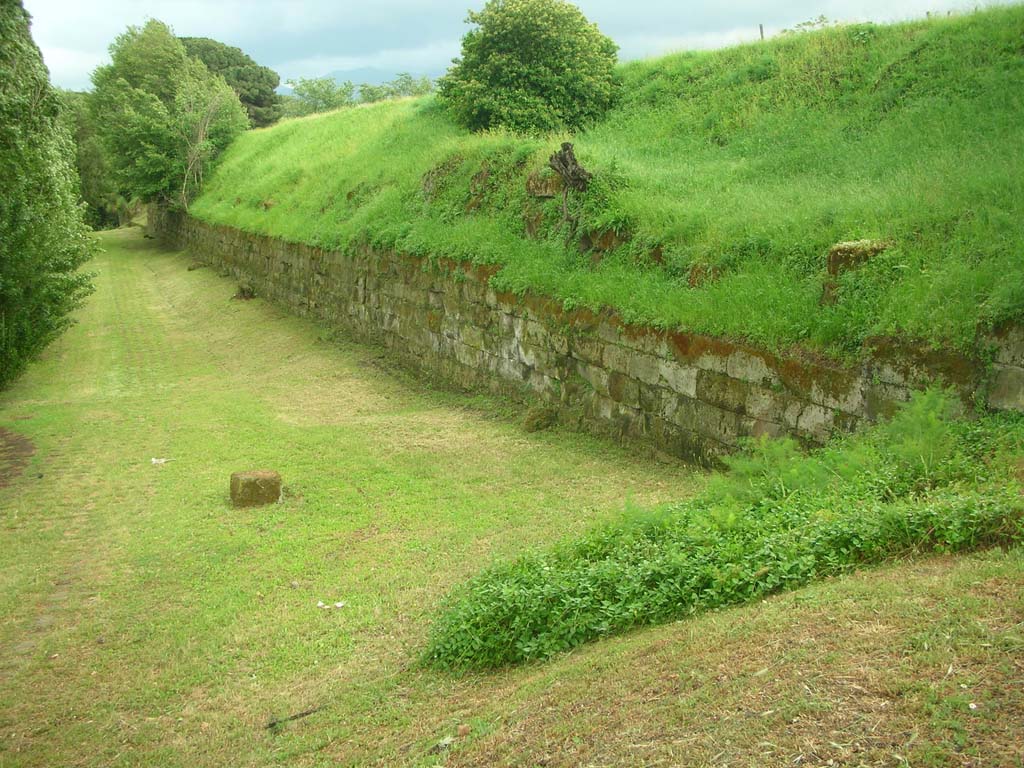 Walls on east side of Pompeii in north-east corner. May 2010. Looking south. Photo courtesy of Ivo van der Graaff.