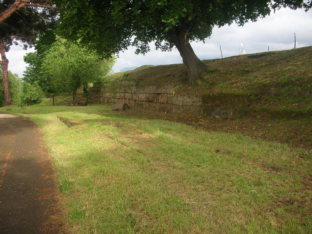 Walls on east side of Pompeii in north-east corner. May 2010. 
City Walls on north side of Tower VIII. Photo courtesy of Ivo van der Graaff.
