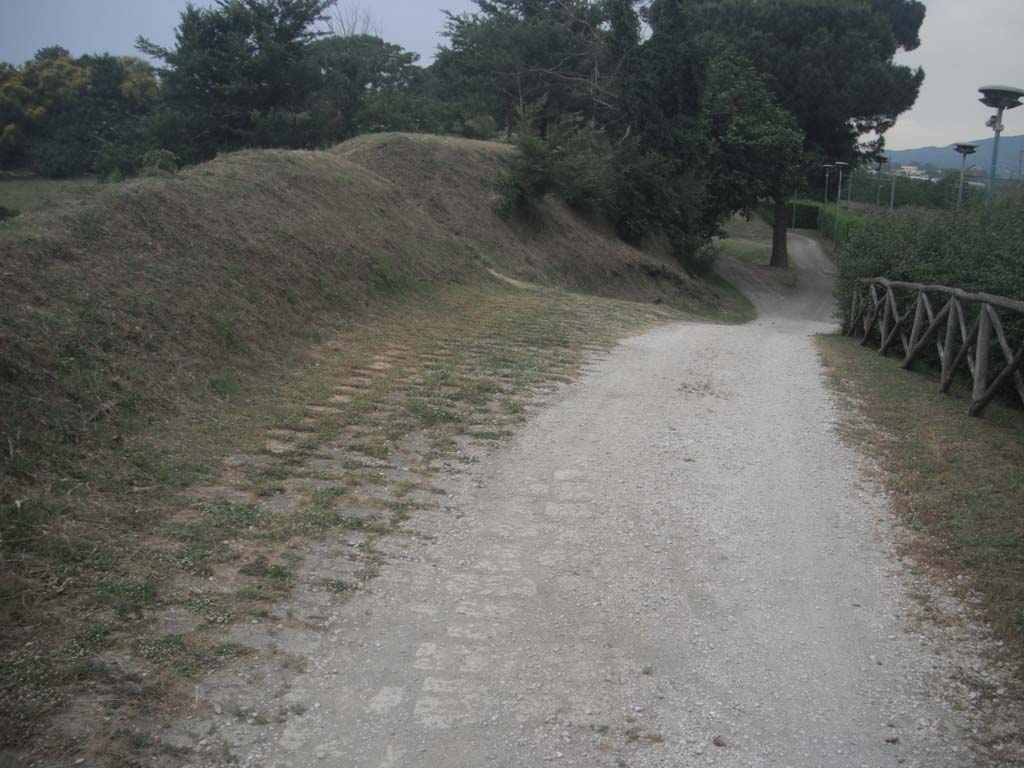 Walls on east side of Pompeii in north-east corner. May 2010. 
Looking west from near Tower IX. Photo courtesy of Ivo van der Graaff.
